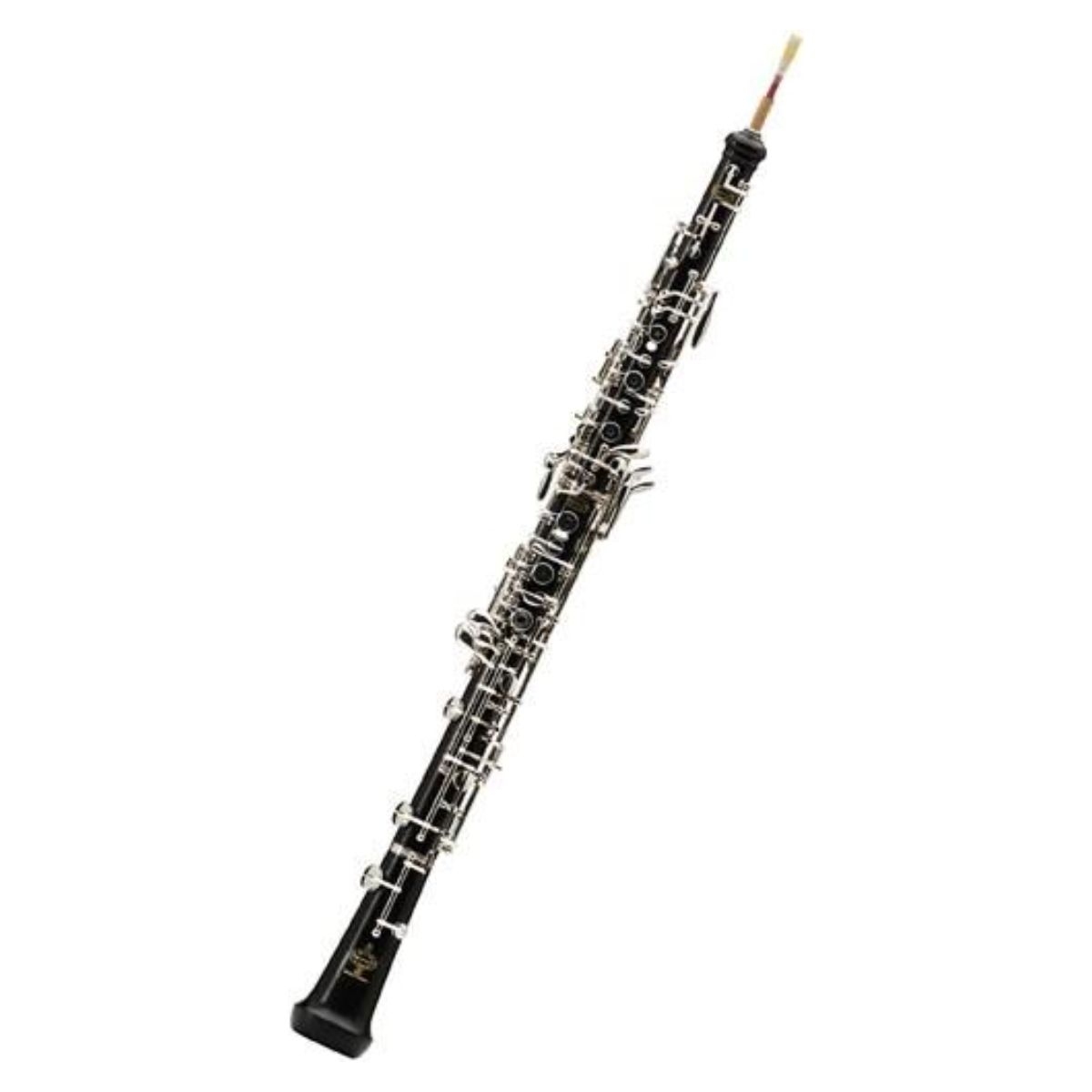 Oboe